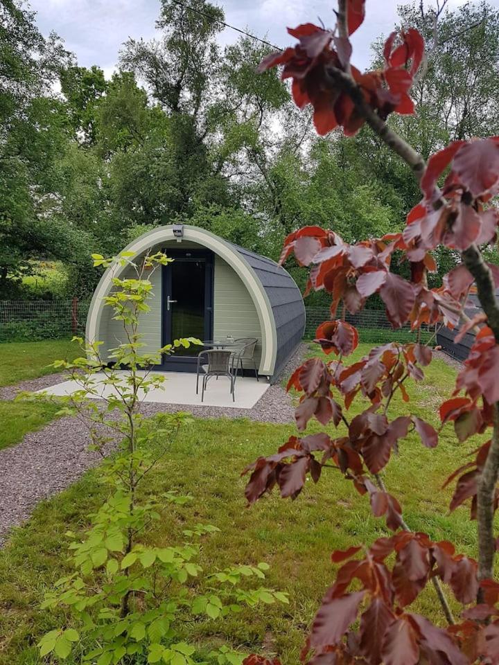 Mount Hillary Holiday Pods Cork Eksteriør bilde